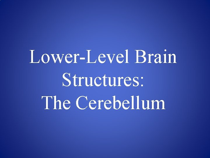 Lower-Level Brain Structures: The Cerebellum 