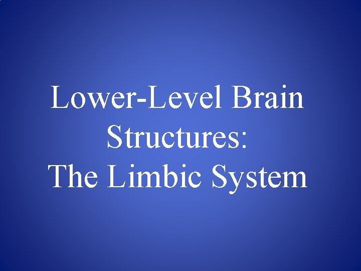 Lower-Level Brain Structures: The Limbic System 