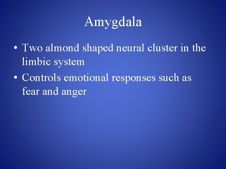 Amygdala • Two almond shaped neural cluster in the limbic system • Controls emotional
