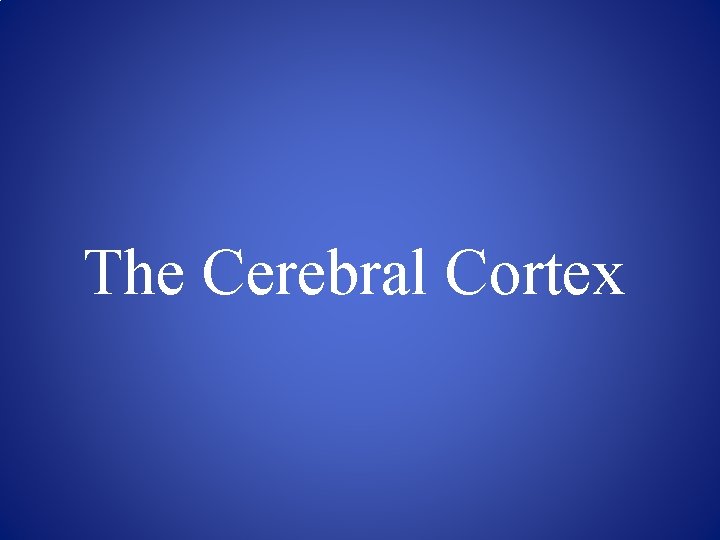 The Cerebral Cortex 