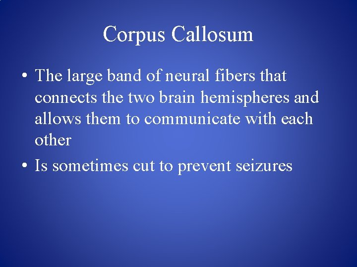 Corpus Callosum • The large band of neural fibers that connects the two brain