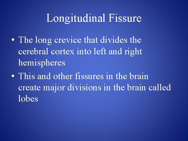 Longitudinal Fissure • The long crevice that divides the cerebral cortex into left and