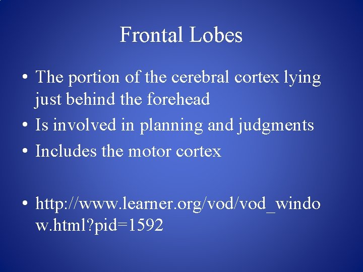 Frontal Lobes • The portion of the cerebral cortex lying just behind the forehead
