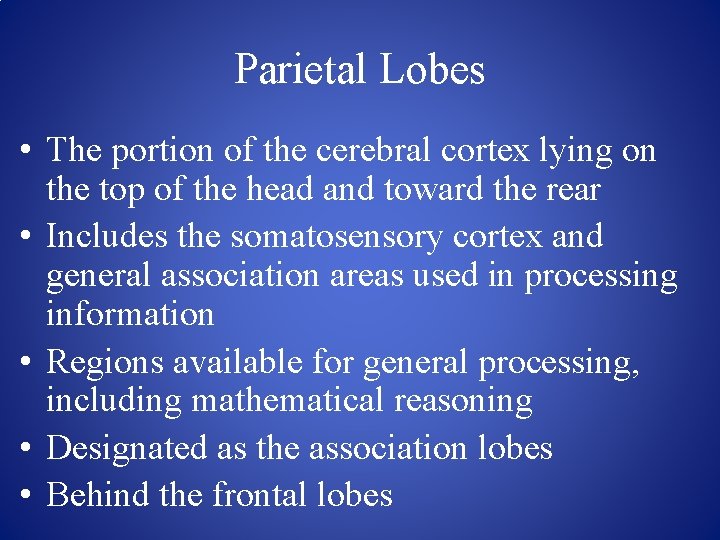 Parietal Lobes • The portion of the cerebral cortex lying on the top of