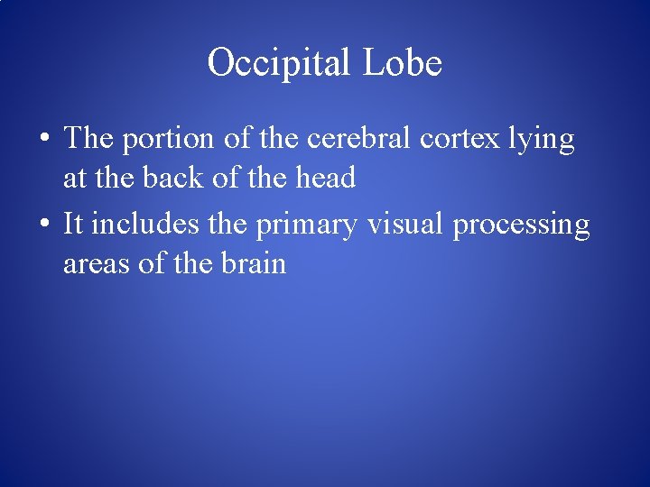 Occipital Lobe • The portion of the cerebral cortex lying at the back of
