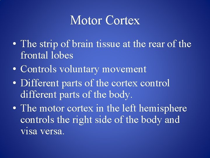Motor Cortex • The strip of brain tissue at the rear of the frontal