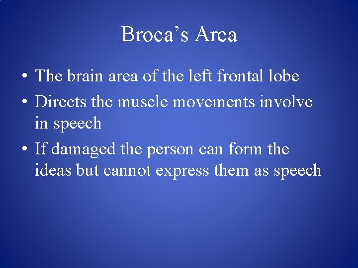 Broca’s Area • The brain area of the left frontal lobe • Directs the