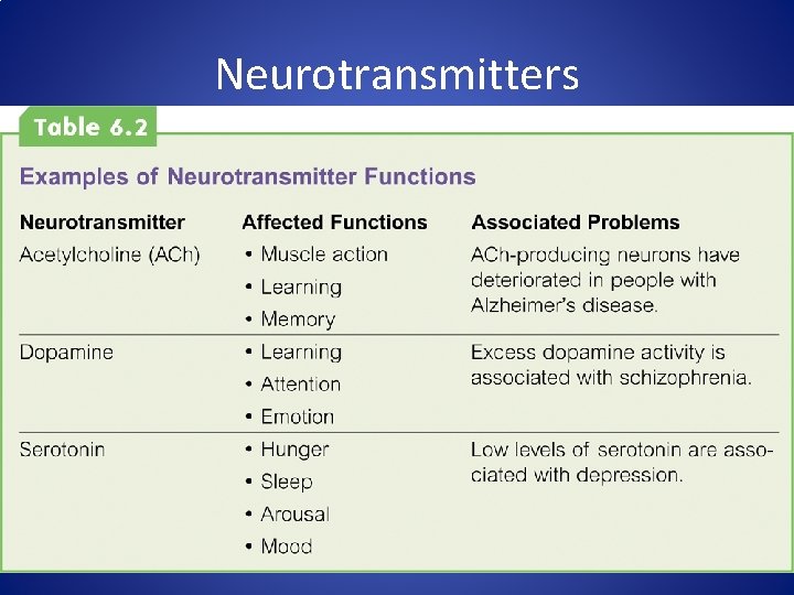 Neurotransmitters 