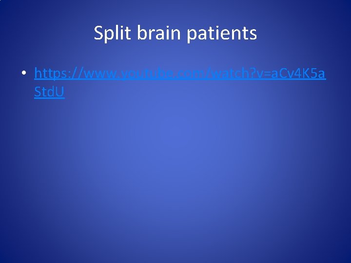 Split brain patients • https: //www. youtube. com/watch? v=a. Cv 4 K 5 a