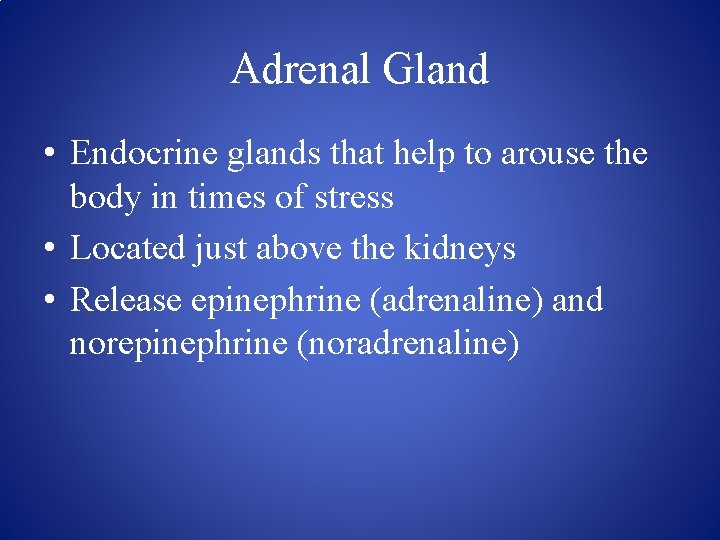 Adrenal Gland • Endocrine glands that help to arouse the body in times of