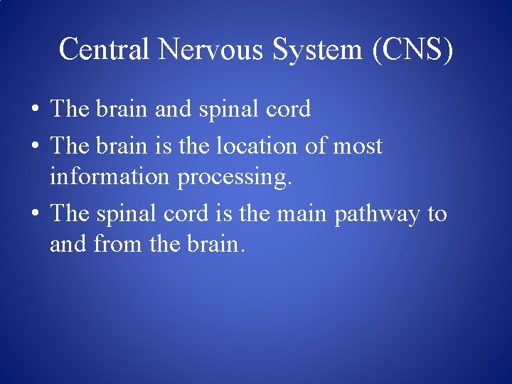 Central Nervous System (CNS) • The brain and spinal cord • The brain is