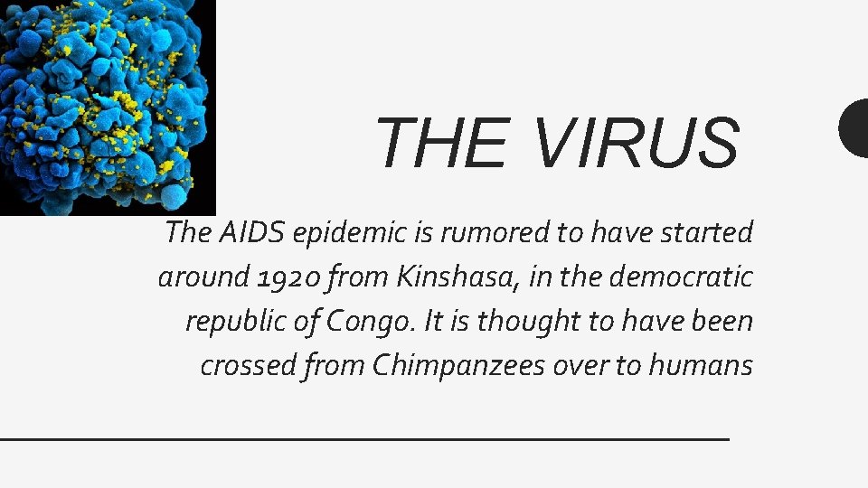 THE VIRUS The AIDS epidemic is rumored to have started around 1920 from Kinshasa,