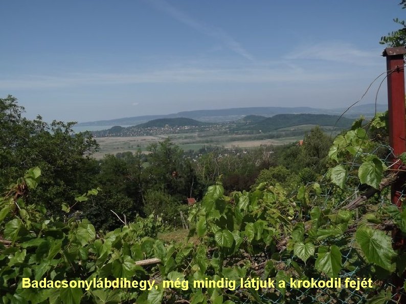 Badacsonylábdihegy, még mindig látjuk a krokodil fejét 