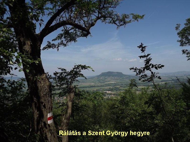 Rálátás a Szent György hegyre 