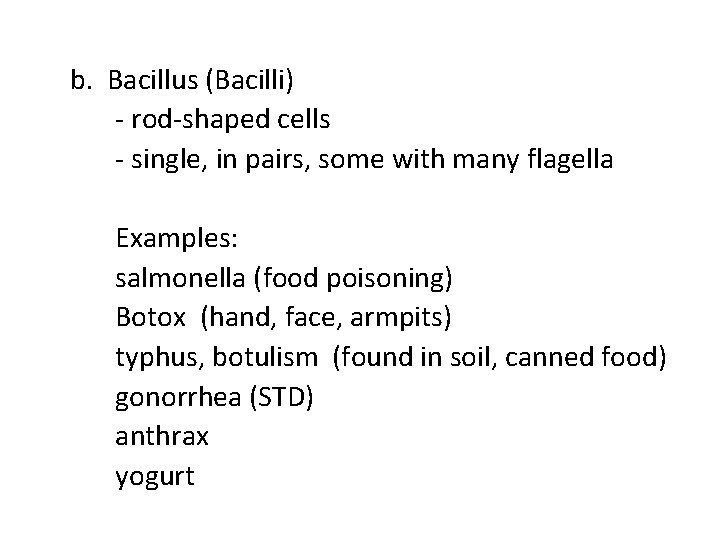 b. Bacillus (Bacilli) - rod-shaped cells - single, in pairs, some with many flagella