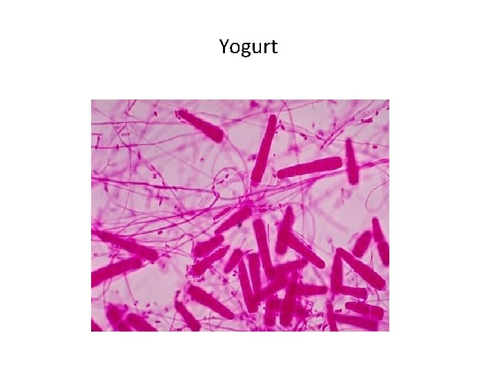 Yogurt 