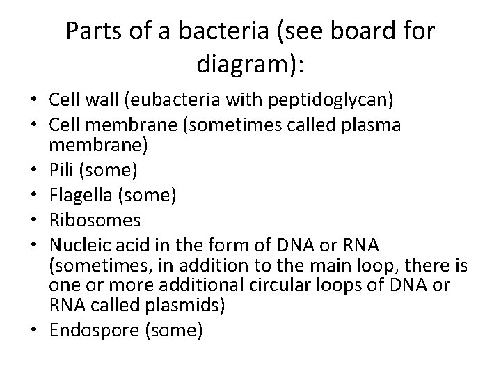 Parts of a bacteria (see board for diagram): • Cell wall (eubacteria with peptidoglycan)