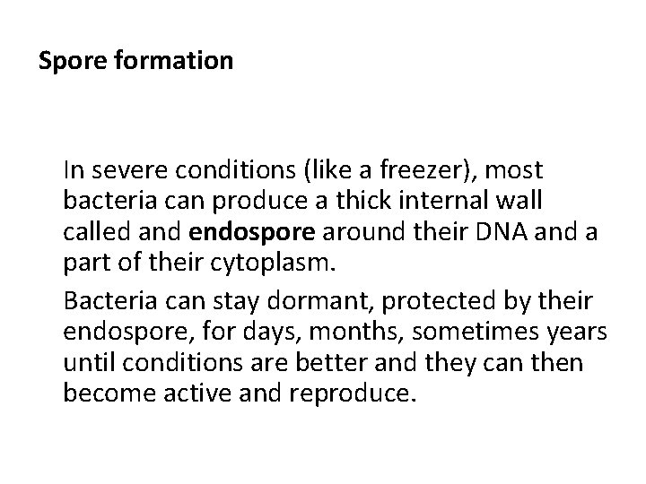 Spore formation In severe conditions (like a freezer), most bacteria can produce a thick