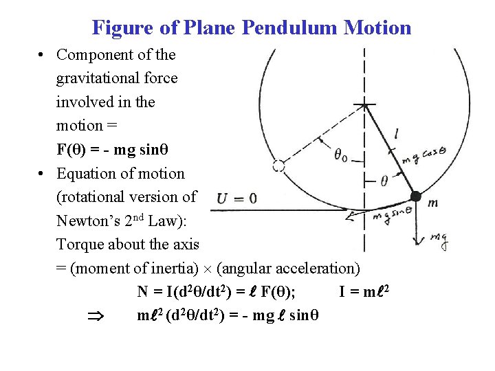 Figure of Plane Pendulum Motion • Component of the gravitational force involved in the