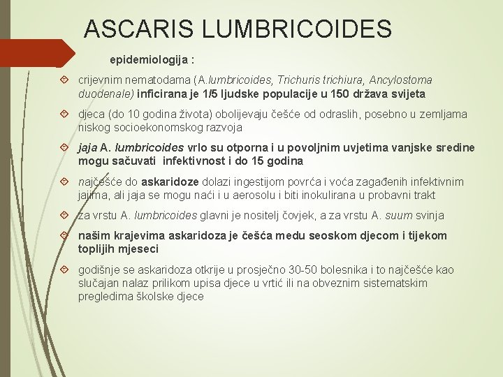 ASCARIS LUMBRICOIDES epidemiologija : crijevnim nematodama (A. lumbricoides, Trichuris trichiura, Ancylostoma duodenale) inficirana je