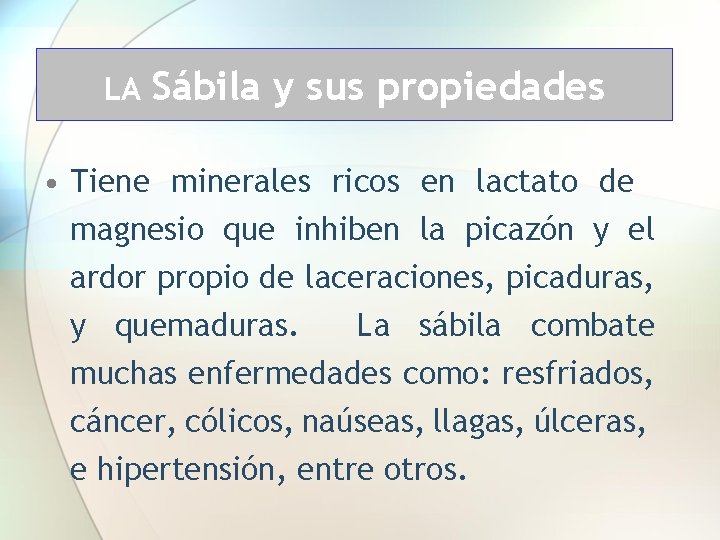 LA Sábila y sus propiedades • Tiene minerales ricos en lactato de magnesio que