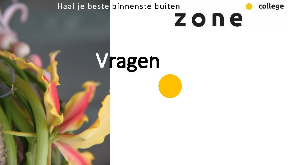 Haal je beste binnenste buiten Vragen 