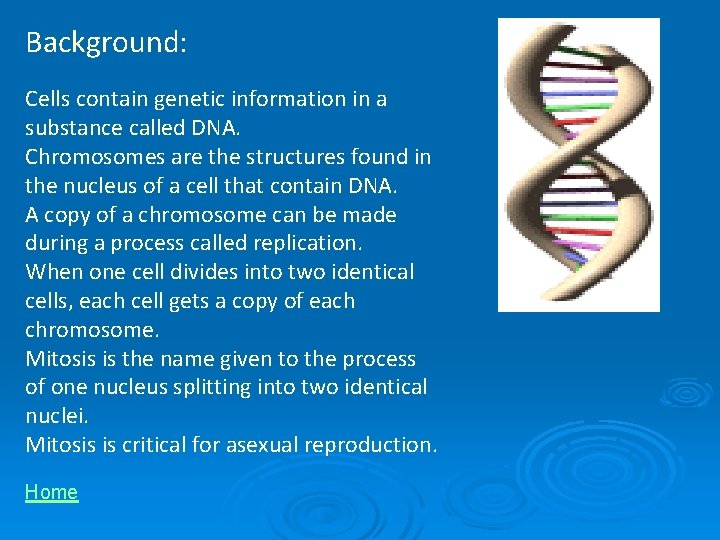 Background: Cells contain genetic information in a substance called DNA. Chromosomes are the structures