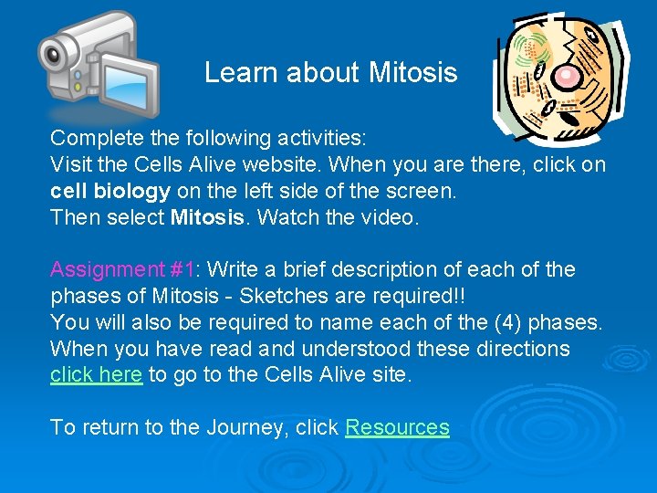 Learn about Mitosis Complete the following activities: Visit the Cells Alive website. When you
