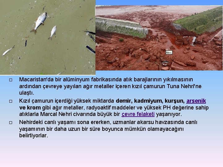 Macaristan'da bir alüminyum fabrikasında atık barajlarının yıkılmasının ardından çevreye yayılan ağır metaller içeren Macaristan'da bir alüminyum fabrikasında atık barajlarının yıkılmasının ardından çevreye yayılan ağır metaller içeren