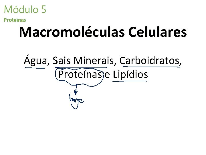 Macromoléculas Celulares Água, Sais Minerais, Carboidratos, Proteínas e Lipídios 