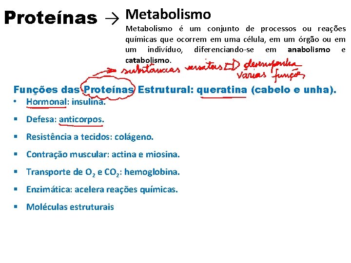 Proteínas → Metabolismo é um conjunto de processos ou reações químicas que ocorrem em