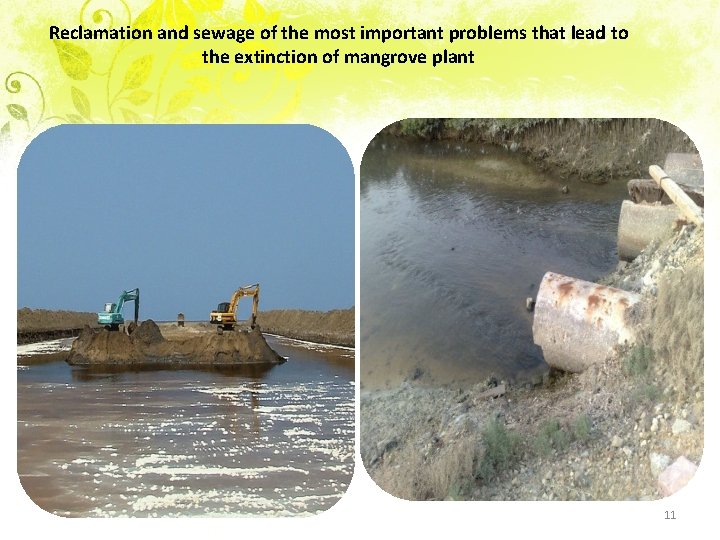 Reclamation and sewage of the most important problems that lead to the extinction of