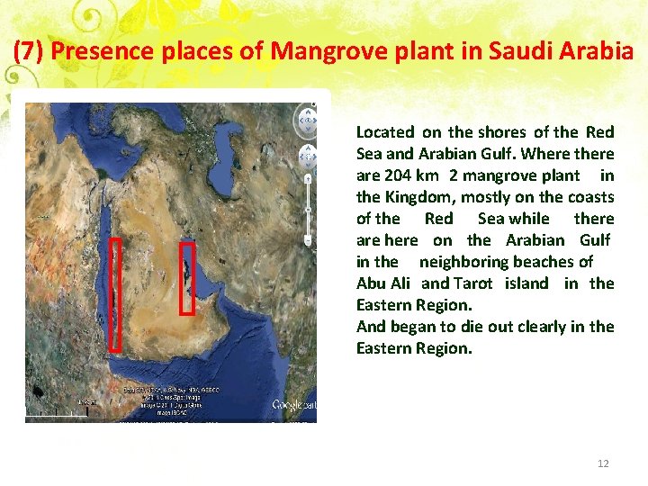 (7) Presence places of Mangrove plant in Saudi Arabia Located on the shores of