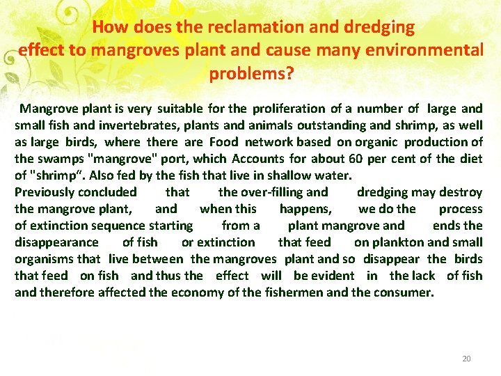 How does the reclamation and dredging effect to mangroves plant and cause many environmental