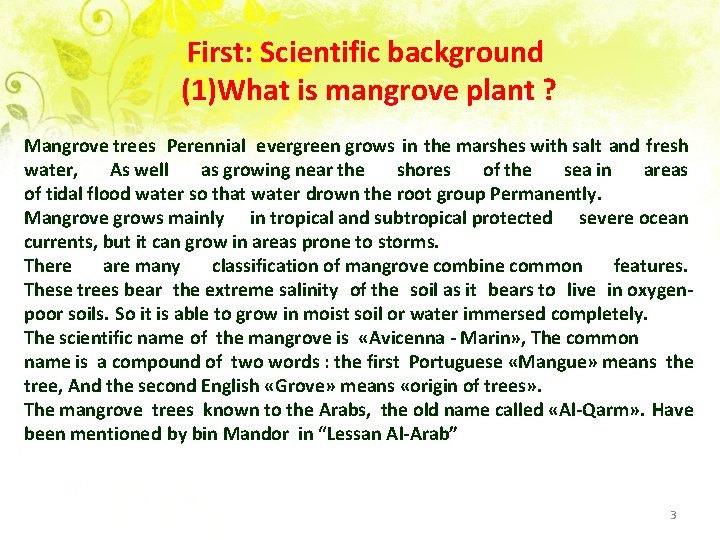 First: Scientific background (1)What is mangrove plant ? Mangrove trees Perennial evergreen grows in