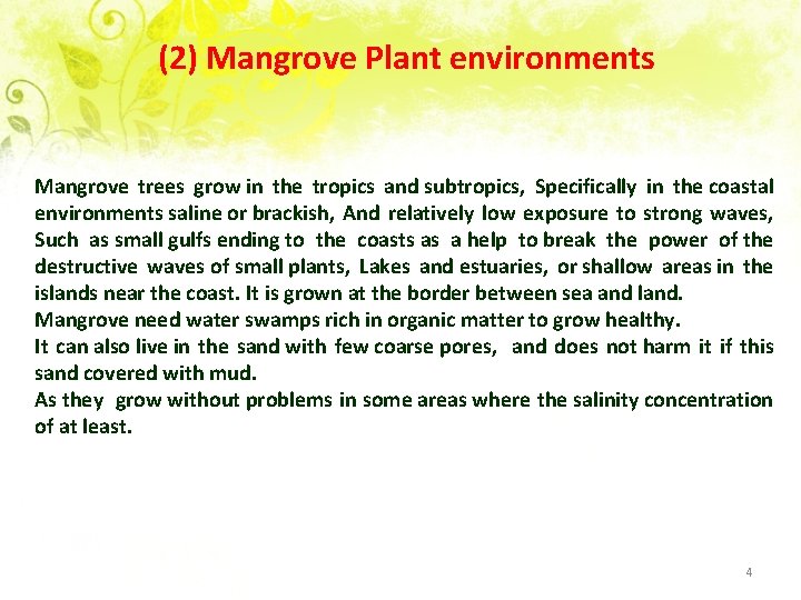 (2) Mangrove Plant environments Mangrove trees grow in the tropics and subtropics, Specifically in