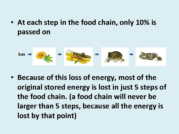 • At each step in the food chain, only 10% is passed on • At each step in the food chain, only 10% is passed on