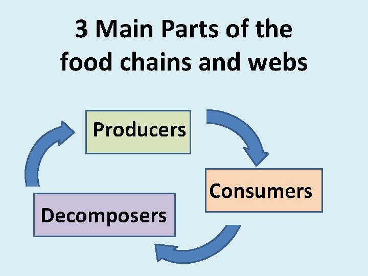 3 Main Parts of the food chains and webs Producers Decomposers Consumers 3 Main Parts of the food chains and webs Producers Decomposers Consumers