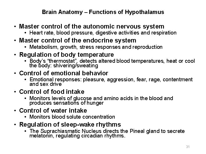 Brain Anatomy – Functions of Hypothalamus • Master control of the autonomic nervous system