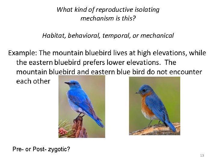 What kind of reproductive isolating mechanism is this? Habitat, behavioral, temporal, or mechanical Pre-