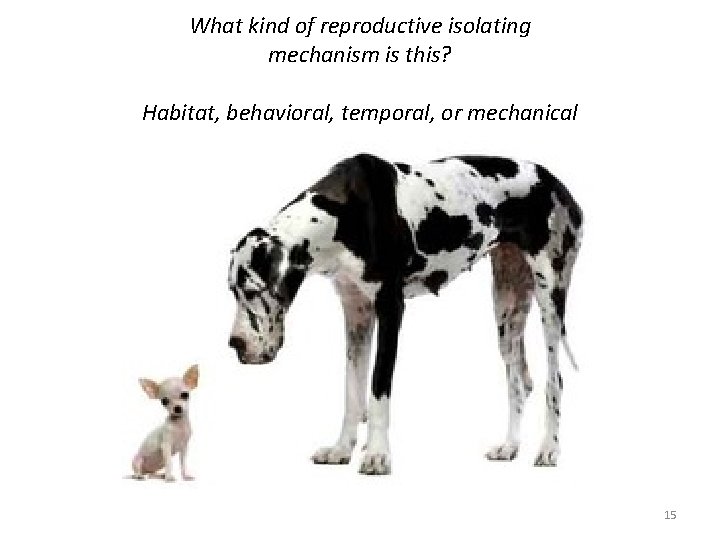 What kind of reproductive isolating mechanism is this? Habitat, behavioral, temporal, or mechanical 15