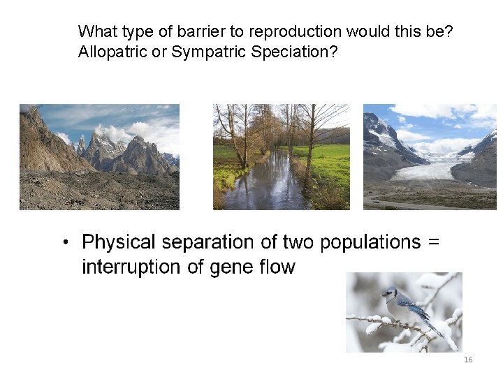 What type of barrier to reproduction would this be? Allopatric or Sympatric Speciation? 16