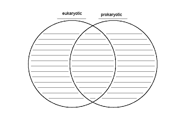 eukaryotic prokaryotic 