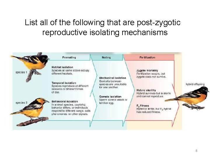 List all of the following that are post-zygotic reproductive isolating mechanisms 8 