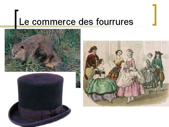 Le commerce des fourrures 