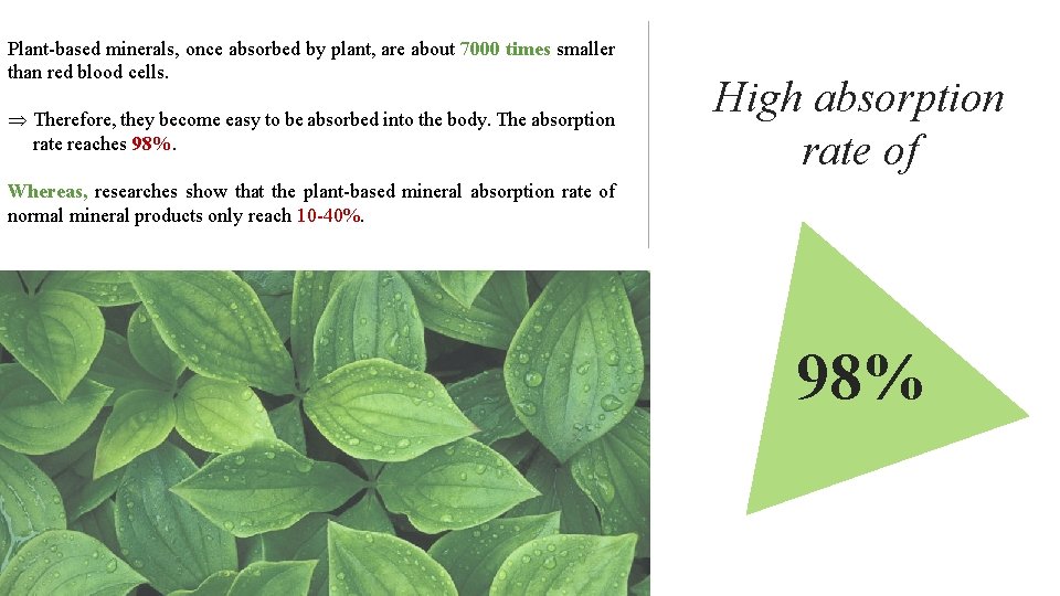 Plant-based minerals, once absorbed by plant, are about 7000 times smaller than red blood