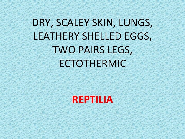 DRY, SCALEY SKIN, LUNGS, LEATHERY SHELLED EGGS, TWO PAIRS LEGS, ECTOTHERMIC REPTILIA 