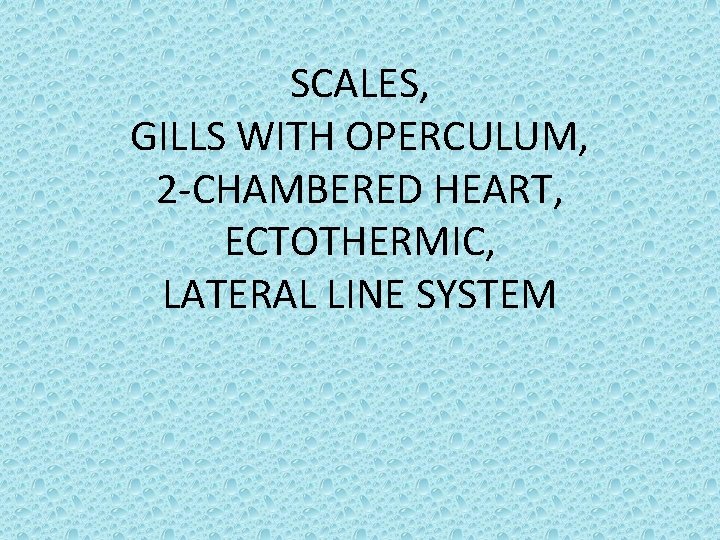 SCALES, GILLS WITH OPERCULUM, 2 -CHAMBERED HEART, ECTOTHERMIC, LATERAL LINE SYSTEM 