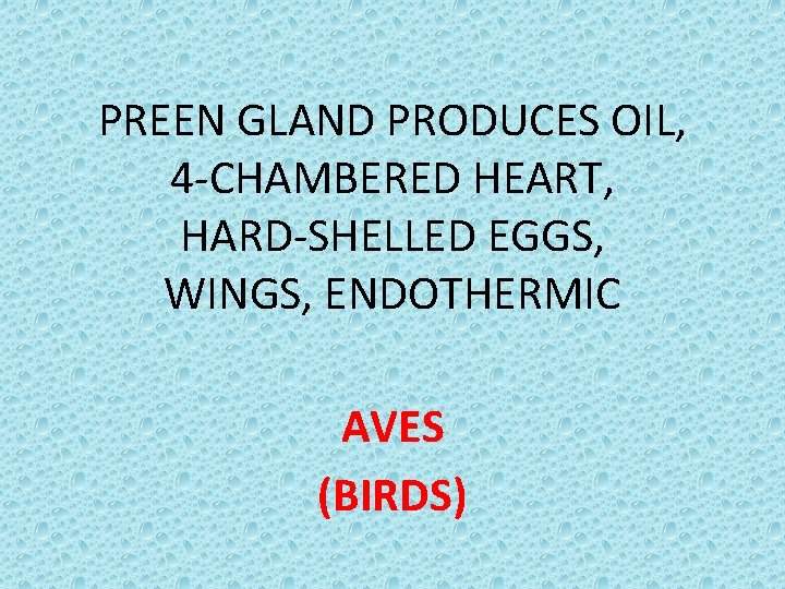 PREEN GLAND PRODUCES OIL, 4 -CHAMBERED HEART, HARD-SHELLED EGGS, WINGS, ENDOTHERMIC AVES (BIRDS) 