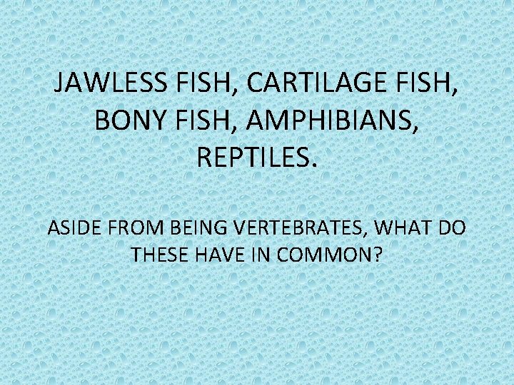 JAWLESS FISH, CARTILAGE FISH, BONY FISH, AMPHIBIANS, REPTILES. ASIDE FROM BEING VERTEBRATES, WHAT DO